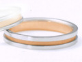 �˥ʥ�å� ��NINA RICCI�� ETERNITE ���ƥ�˥� �ֱʱ��  6RL920