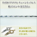 �������������� ����������������1.0�ߥ�ˡ�Pt850[�ץ����]  �ͥå��쥹 y070341